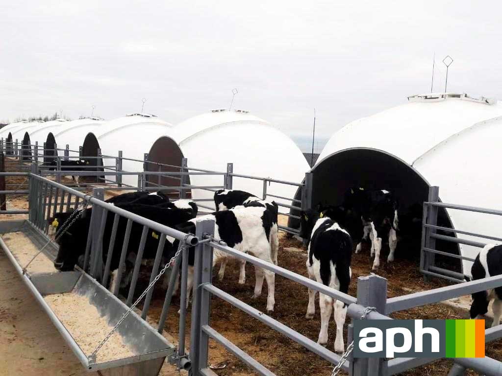 Групповые домики для телят